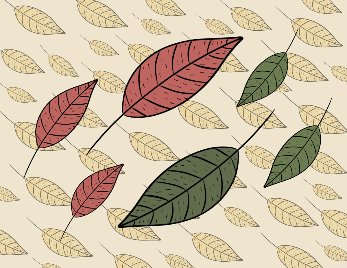 Thin Leaf A — the printed card