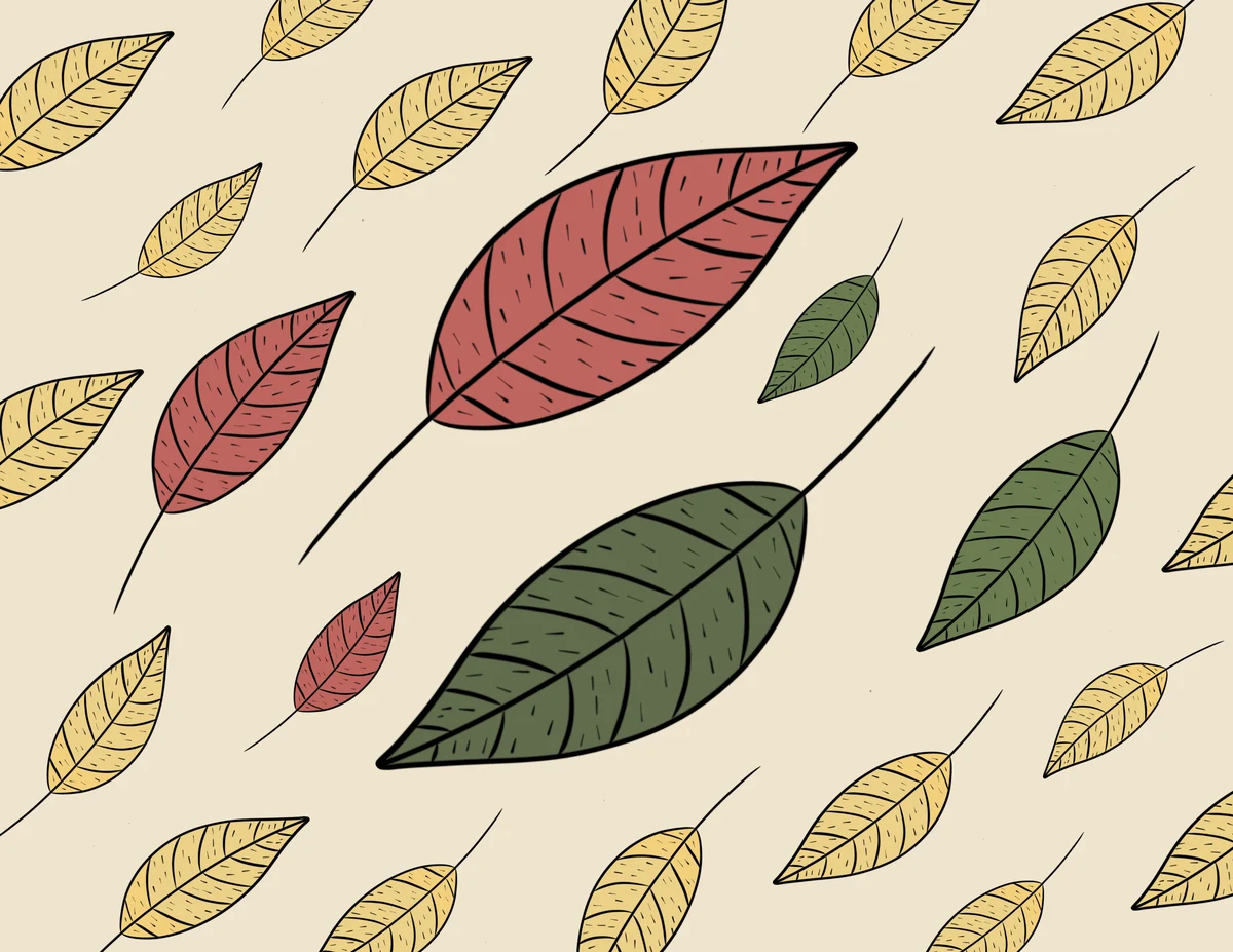 Thin Leaf B — the printed card