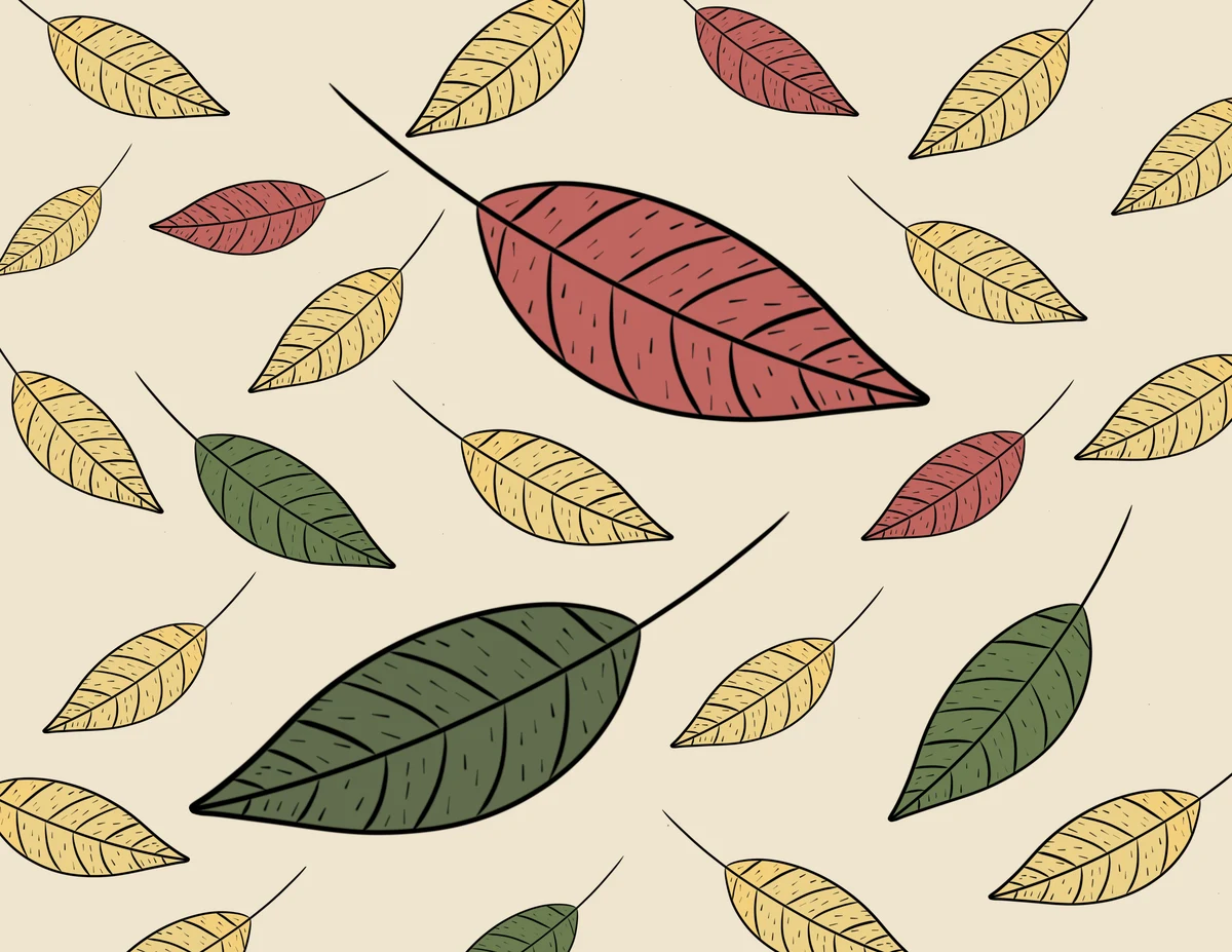 Thin Leaf C — the printed card