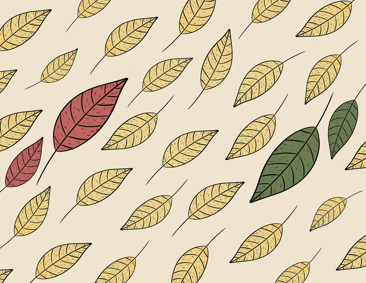 Thin Leaf D — the printed card